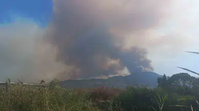 Aydın’daki Orman Yangınını Denetim Altına Alma Çalışmaları Devam Ediyor