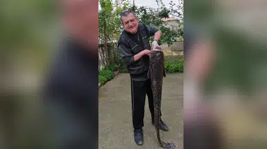 Usta balıkçı, Dev Yayın Balığı Yakaladı