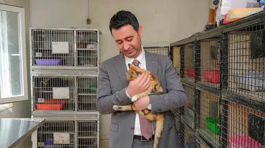 Bayraklı Belediyesi, Can Dostları Sahiplendirme Kampanyası Başlattı