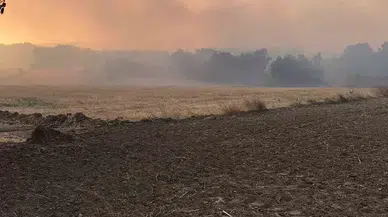 Bulgaristan Hududunda Çıkan Yangın Edirne’nin Köylerine İlerliyor