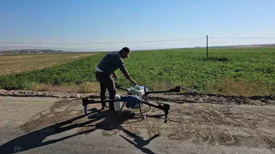Çiftçiler Kurtlanan Fasulyeleri İçin Dronla İlaçlama Yapıyor