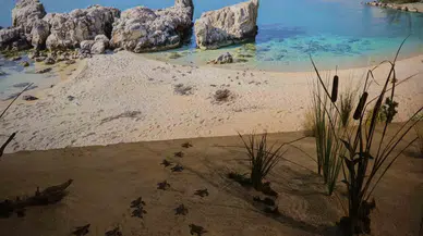 ‘Çukurova Biyoçeşitlilik Tanıtım Merkezi’ Ziyaretçi Akınına Uğruyor