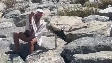 Göç Yolunda Yorgun Düşen Leyleği Elleriyle Beslediler