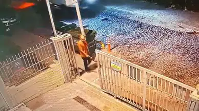 İstanbul’da Zihinsel Engelli Adama Sokak Köpeklerinin Saldırısı Sonucu Hayatını Kaybetti