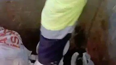 Kaplumbağayı Çöpe Attılar: Emekçilerin Dikkati Sayesinde Kurtuldu