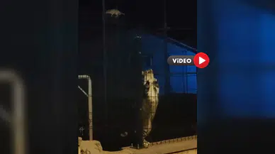 Kedi ile Farenin Tebessüm Ettiren Kovalamacası