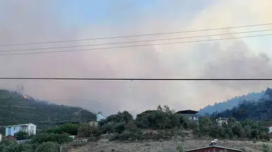 Manisa’daki Orman Yangını Denetim Altına Alındı