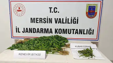 Mersin’de Uyuşturucu Operasyonu: 6 Gözaltı