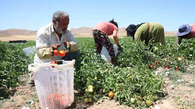 Mevsimlik Personellerin Sıcak Altına Ekmek Uğraşı