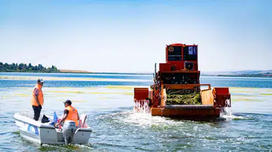 Mogan Gölü’nde Paklık Çalışmaları Devam Ediyor