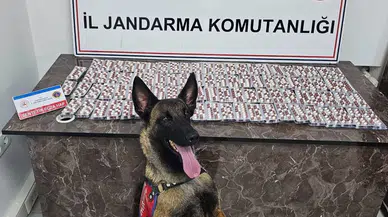 Polis ve Jandarma Hatalıların Ensesinde