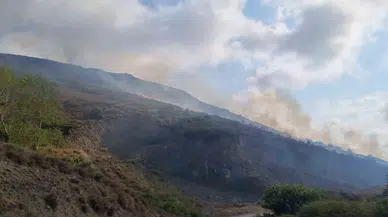 Sinop’ta Örtü Yangınında 5 Hektar Alan Ziyan Gördü