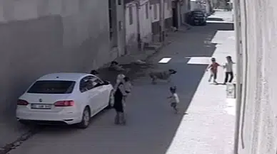 Sokak Köpeğinin Çocuklara Saldırısı Kameraya Yansıdı
