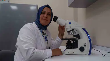 Tarım Toprağına  D Vitamini Dayanağı