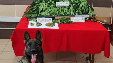 Uyuşturucu Tacirinin Meskenine Baskın