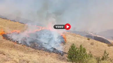 Anız Yangını, Güçlükle Kontrol Altına Alındı