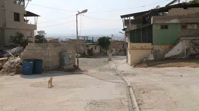 Yaşlı Bayanın Etrafını Saran Sokak Köpeklerinden Huzursuz Olduğu Anlar Kamerada