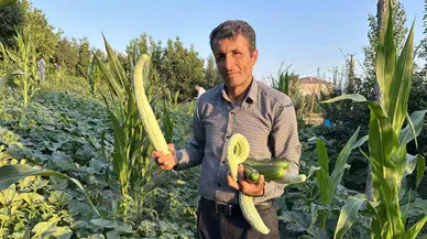 Yüksekova’da Örnek Çiftçi: A’dan Z’ye Tüm Eserlere Hayat Verdi