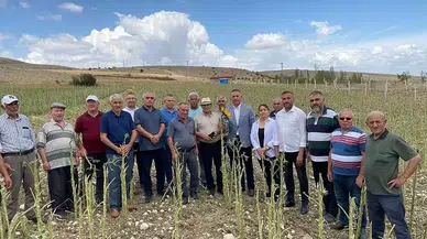 "759 Köyümüzde Ne Var, Ne Yok”