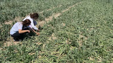 Afetzede Çiftçilere 20 Milyon Ödenek