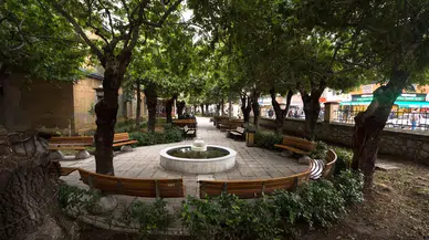 ‘Asıl Hastalıklı Olan Ağaç Kesme Merakınız’