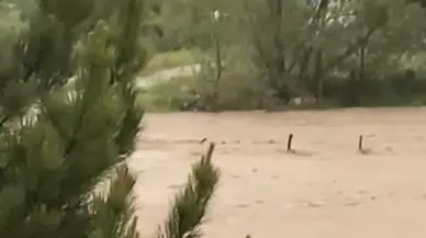 “Dereleri Islah Etmek İçin Birinin Ölmesi Mi Gerekiyor?”