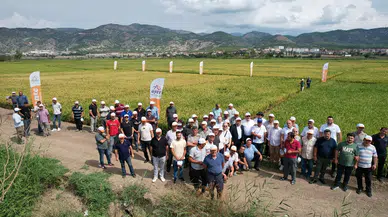 Dr. Sürek, Osmancık’ta