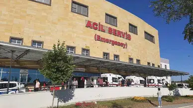 Eşekten Düşen Çocuk Yaralandı