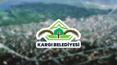 Kargı, Sahipsiz Köpek Sorununa Çözüm Arıyor