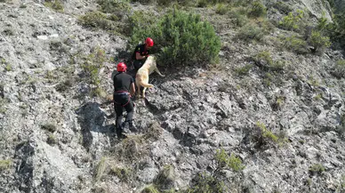 Kayalıkta Mahsur Kalan Köpeği İtfaiye Kurtardı