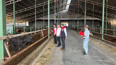 Kırmızı Et Üretimi Artıyor, Denetimler Sıkılaştırılıyor