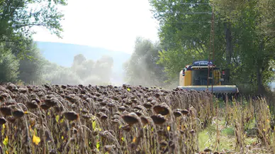 Tarladan İhtiyaç Sahiplerinin Sofrasına