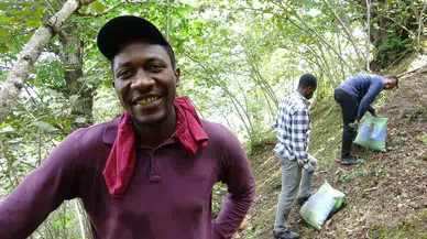 Afrikalı Üniversite Öğrencileri Harçlıklarını Fındık Bahçesinden Çıkartıyor