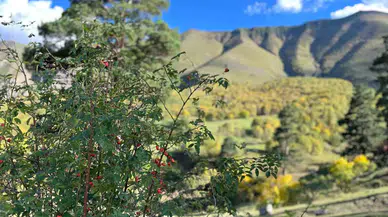 Artvin’de Sonbahar Birinci Bu Köye Uğruyor