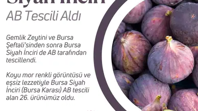 Bakan Yumaklı: "Bursa’nın Siyah İnciri, Gemlik Zeytini ve Bursa Şeftalisinden Sonra AB Tarafından Tescillenen Bir Diğer Bursa Lezzeti Oldu"