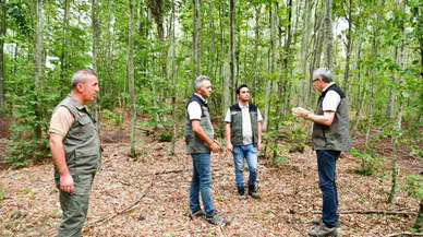 Balıkesir’de Kayın Ormanlarından Rahmet Yağıyor