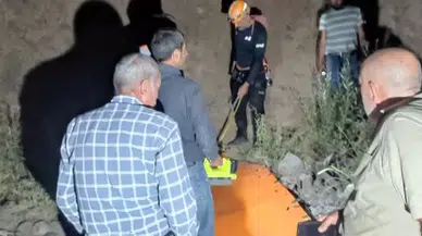 Bingöl’de Bal Toplamaya Giden 55 Yaşındaki Adam, Kayalıklardan Düşerek Hayatını Kaybetti