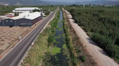 Bursa’da Sulama Kanalları Kurudu, Balık Vefatları Başladı, Şeftali ve Armut Kuruyor