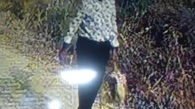 Büyükçekmece’deki Lüks Villayı Basıp, Sevgilisini Öldürdü