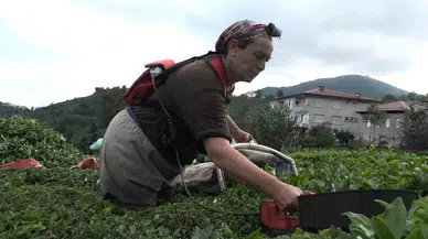 Çaykur’un Randevulu Çay Alım Sistemine Geçmesi Üreticiyi Sevindirdi