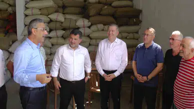 Fındık Alımı Sürüyor: "Piyasa Vakitle Rayına Oturacak"
