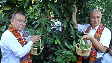 Foodfest Antalya Memleketler arası Gastronomi Şenliği Kapsamında Avokado ve Mango Hasadı Yapıldı