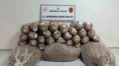 Gaziantep’te 500 Kilo Kaçak Tütün Ele Geçirildi