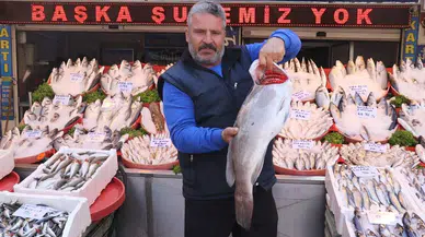 Gaziantep’te Havaların Serinlemesiyle Balık Satışları Arttı