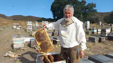 Geçersiz Bal Hem Sıhhati Hem de Bölümü Olumsuz Etkiliyor