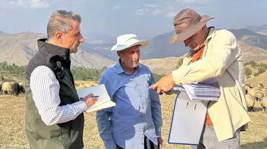 Gruplar 2 Bin Rakımda Dağ Taş Demeden Küpeleme ve Aşılama Çalışması Yapıyor