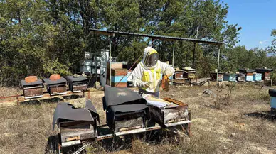 Hobi Olarak Başladı, Kilosu 400 TL’den 500 Kilo Bal Üretiyor