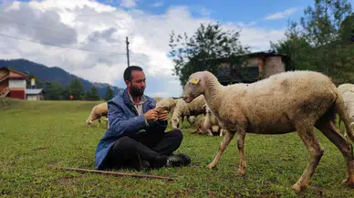 İki Üniversite Bitirip Hayali Kaymakamlık Olan Genç Çobanlık Yapmaya Başladı