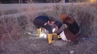 İtfaiye Takımları Kanalizasyona Düşen Koyun İçin Seferber Oldu