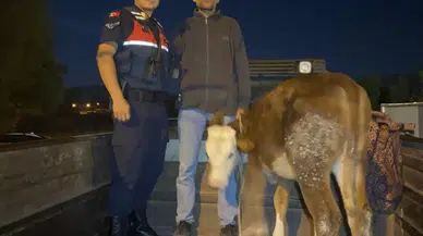 Kayseri’de Çalındı, Kahramanmaraş’ta Bulundu